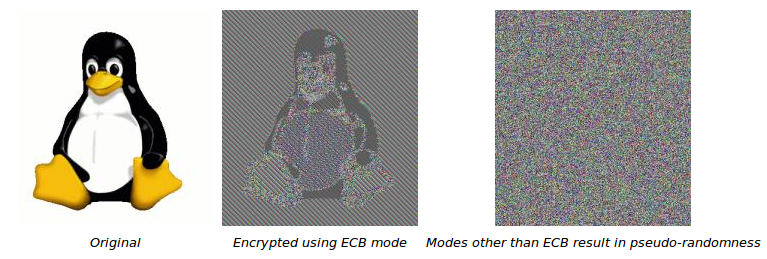 ECB_pattern