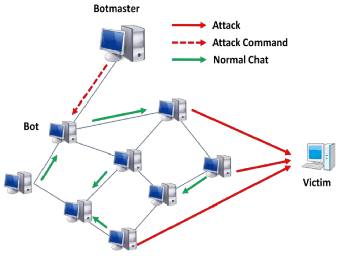 Bot P2P